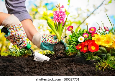 Gardening